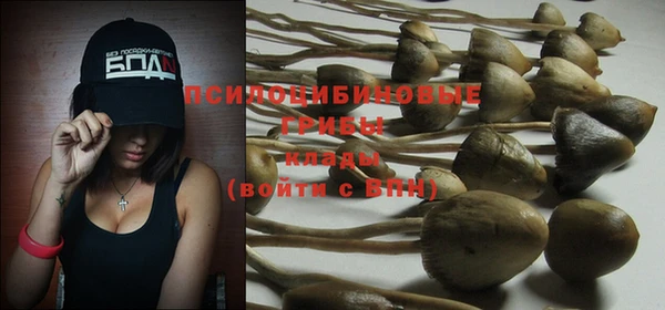 винт Алексеевка