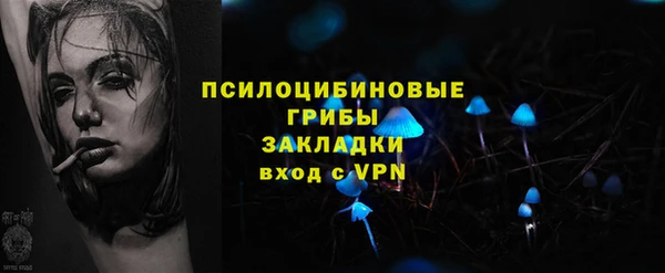 МДПВ Алзамай