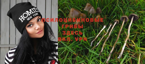 винт Алексеевка