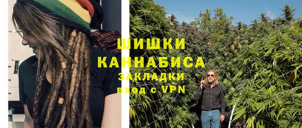 МДПВ Алзамай